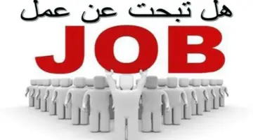 براتب شهري 10 آلاف جنيه.. وظائف وزارة العمل بمجال السياحة والفنادق